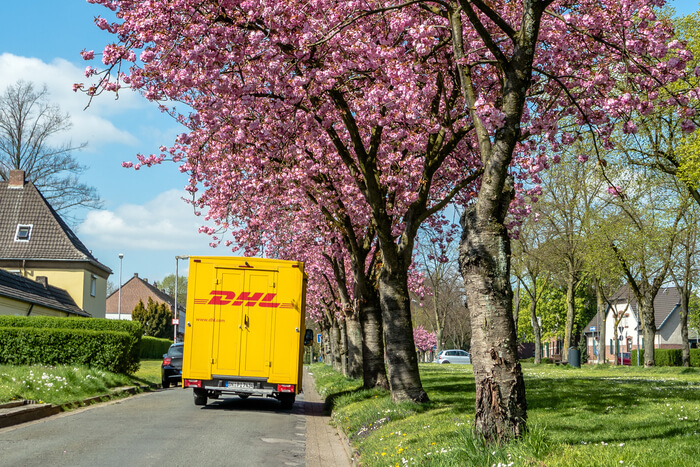 Lieferung: DHL-Paketauto auf Straße unter Bäumen