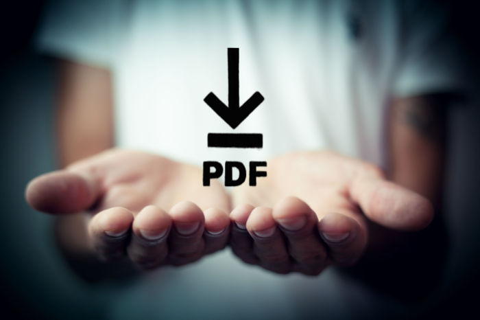 Hand hält pdf-Symbol