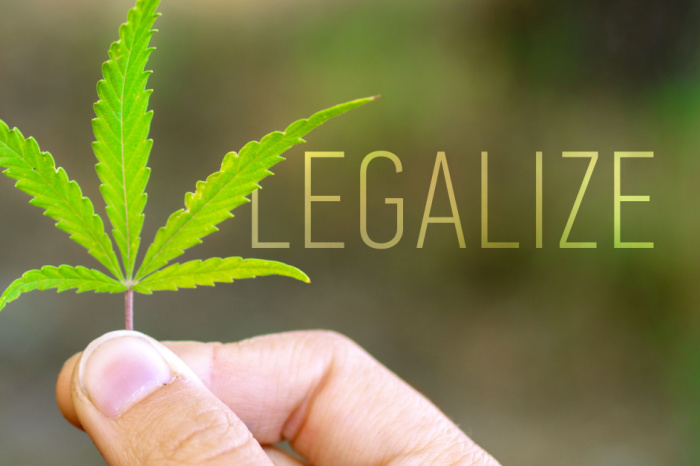 Grünes Cannabis-Blatt mit Inschrift LEGALIZE