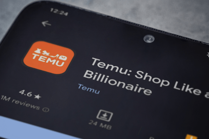 Temu-Logo auf einem Smartphone-Bildschirm