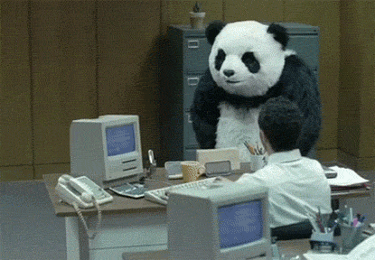 Panda räumt ein Büro aus