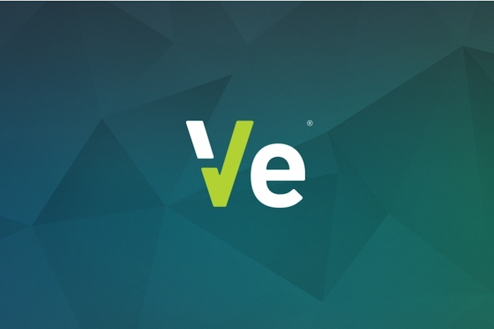 Ve Interactive Logo